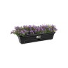 ELHO Balconniere Green Basics Allin1 - Extérieur & Balcon - L 25,7 x W 47,3 x...