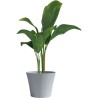 Pot de fleurs - GARDEN ID - Green Care Sense Pierre bleue - 30 x 27 cm - Gara...