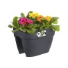 ELHO Balconniere Vibia Campana Flower Bridge 40 - 26x39x22cm - Balcon extérie...