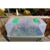 Couvercle Iziserre - RIVIERA - 77x37x27 cm - Translucide