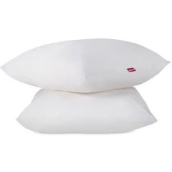 ABEIL Lot de 2 Oreillers Douceur - 60 x 60 cm - Blanc