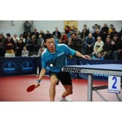 Raquette de tennis de table - SCHILDKRÖT - TOP TEAMS 600 AVS,manche - Bois de...