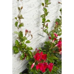 Treillis métallique - NATURE - Kit de palissage pour plantes grimpantes - fil...