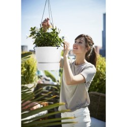 ELHO Pot de fleurs a suspendre Greenville - Ø 23,9 x H 20,3 cm - Extérieur - ...