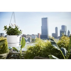 ELHO Pot de fleurs a suspendre Greenville - Ø 23,9 x H 20,3 cm - Extérieur - ...