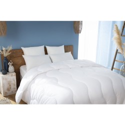 ABEIL Lot de 2 Oreillers moelleux ICEBERG 60x60cm