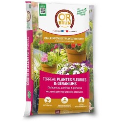 Terreau plantes fleuries et...