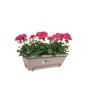 ELHO Balconniere BARCELONA ALLIN1 - 9L - 49,5x27,5x18,5cm - Balcon: extérieur...