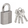 Cadenas en laiton nickelé 40mm - MASTER LOCK - Anse hexagonale - Haute sécuri...
