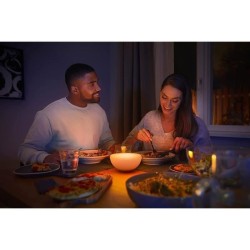Lampe portable connectée Philips Hue Go White and Color - Compatible