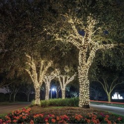 Guirlande lumineuse solaire Yogy Solar - LUMI JARDIN - 200 LED - 1700 cm - Bl...