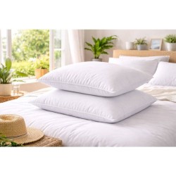 BLANREVE Lot de 2 Oreillers Spécial Transpiration - 60 x 60 cm - Blanc