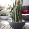 Pot vasque Ø 40 cm - EDA - Graphit Up - 14,9 L - Intérieur/ Extérieur - Décor...