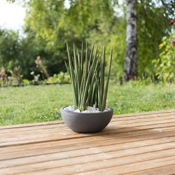 Pot vasque Ø 40 cm - EDA - Graphit Up - 14,9 L - Intérieur/ Extérieur - Décor...