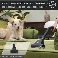 HOOVER HE1 - Aspirateur Traineau avec sac Compact et Puissant -