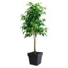 Pot de fleurs Carré 40 cm - EDA - Toscane - 38 L - 39 x 39 x H.39 cm - Gris A...