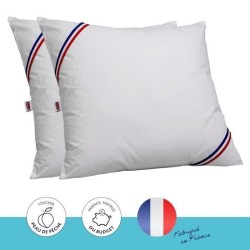 DODO Lot de 2 oreillers Tendance - 60 x 60 cm - Garnissage 100% Polyester fib...