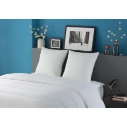 DODO Lot de 2 oreillers Tendance - 60 x 60 cm - Garnissage 100% Polyester fib...