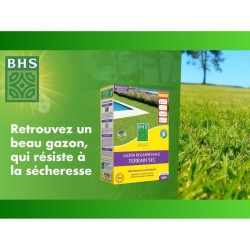 Semence de gazon - BHS -  Gazon Regarnissage 1kg