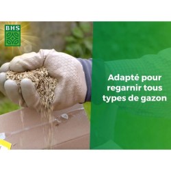 Semence de gazon - BHS -  Gazon Regarnissage 1kg