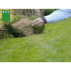 Semence de gazon - BHS -  Gazon Regarnissage 1kg