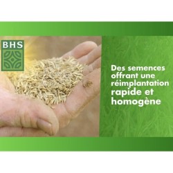 Semence de gazon - BHS -  Gazon Regarnissage 1kg