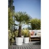 ELHO Pot de fleurs rond Greenville 30 - Extérieur - Ø 29,5 x H 27,8 cm - Blanc