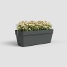 ARTEVASI Kit balcon Jardiniere - CAPRI RE - 50cm - Anthracite - 50,2 x 28,5 x...