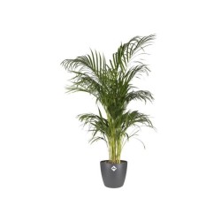 ELHO Pot de fleurs Brussels Rond - Ø 30 x H27,1 cm - Anthracite