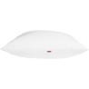 DODO Oreiller LUXOR 60x60 cm - 100% Coton - Effet Duvet