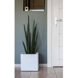 Pot de fleurs Carré 30 cm - EDA - Graphit Up - 21 L - Intérieur / Extérieur -...