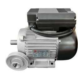 Moteur électrique 3CV/230V...
