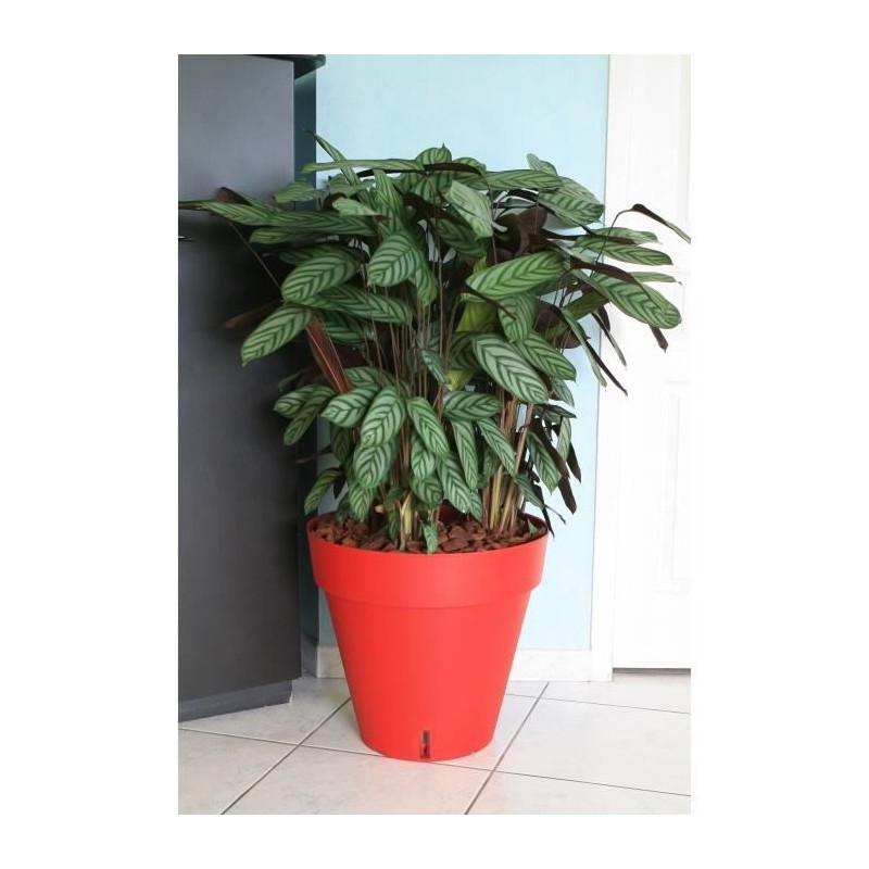 RIVIERA Pot de fleurs Loft avec réserve d'eau - Rond - Ø 50 x H 46 cm - Rouge