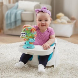 VTECH BABY - La Grande Roue des Baby Loulous - Roue musicale avec