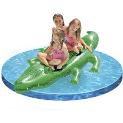 Crocodile a chevaucher -...