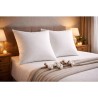 BLANREVE Lot de 2 Oreillers en coton - 60 x 60 cm - Blanc