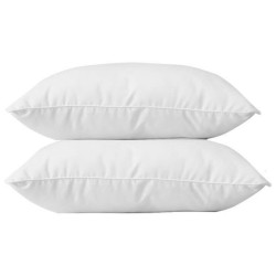 BLANREVE Lot de 2 Oreillers en coton - 60 x 60 cm - Blanc
