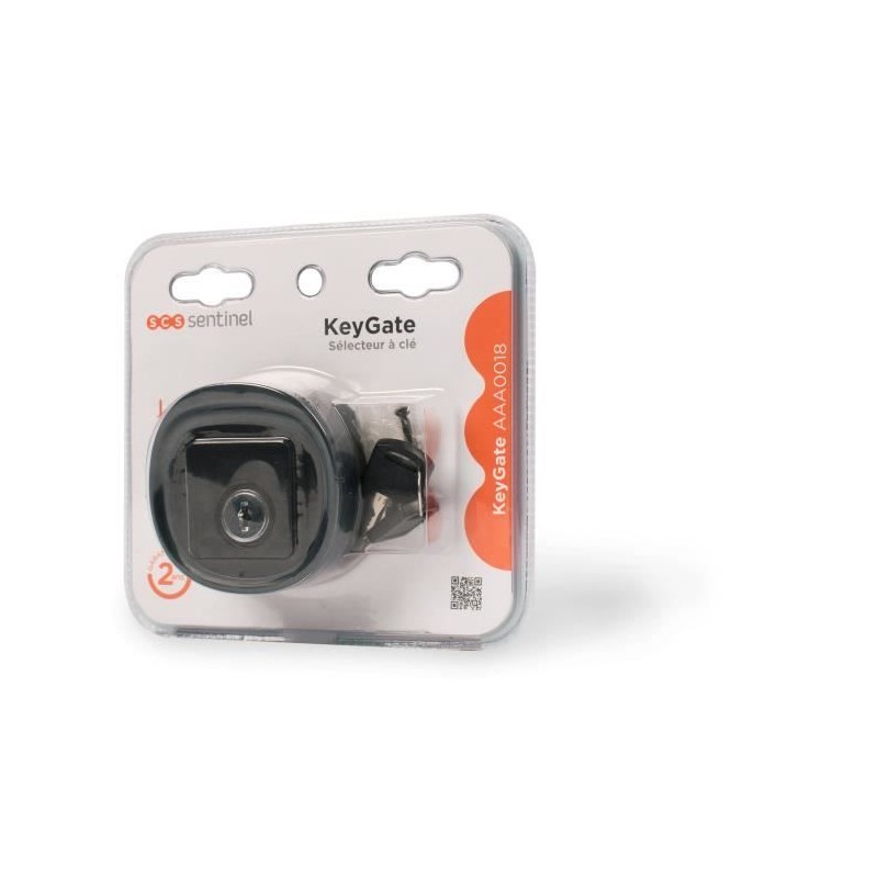 Sélecteur a clé filaire - KeyGate - IP44 - 12/24V - Contacteur anti-vandale -...
