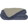 CALGARY - Couette Chaude Microfibre 400gr/m² - Pétrole et Mastic - 140 x 200 cm