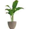 Pot de fleurs - GARDEN ID - Green Care Impact Taupe - 30 x 26 cm - Garanti 10...