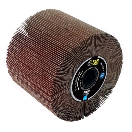 Brosse a lamelles pour rénovateur - FARTOOLS - Ø 120 mm - Alésage 20 mm - Pon...