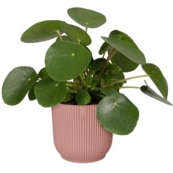 ELHO Pot de fleurs Rond VIBES - Ø29,5 x H27,2 cm - Plastique - Bleu Foncé