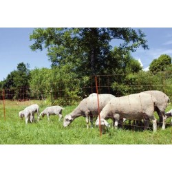 KERBL -  Filet pour moutons...