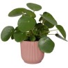 ELHO Pot de fleurs Rond VIBES - Ø29,5 x H27,2 cm - Plastique - Bleu Foncé
