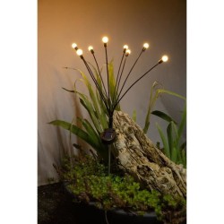 Decoration lumineuse...