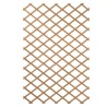 Treillis extensible en bois 100 x 200 cm Nature