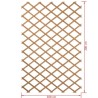 Treillis extensible en bois 100 x 200 cm Nature