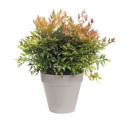 ELHO Pot de fleurs Rond Loft Urban - Ø 38,5 x H 35,3cm - Gris anthracite - Av...