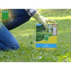 Semence de gazon - BHS - Gazon Ombre 1kg | 40m² | Résistant a la faible lumin...