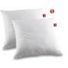 Lot de 2 oreillers anti-acariens - 60 x 60 cm - 100% coton traité Biome - ABEIL